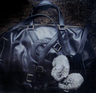ylsbag.jpg