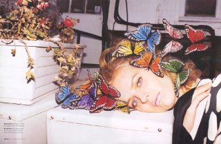 butterflies.jpg