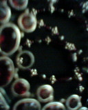 cross3.jpg