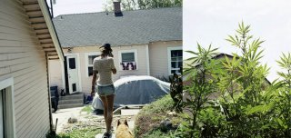 Low Luv ph. Dan Martensen 03.JPG