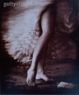 Legs of Woman in Feathers  photo by Dan Weeks.jpg