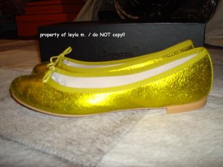 my Repetto lime 2.JPG