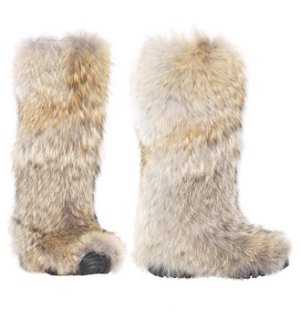 RalphLaurenDashaCoyote2.jpg
