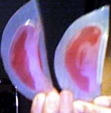Photo 11.jpg