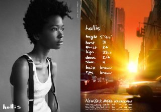 hollis1.jpg