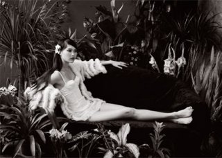 tropic-3.jpg