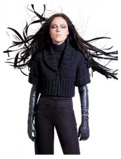 Ann klein inspiration.jpg