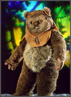 1045928-Ewok-rama-1.jpg