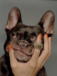 raya_dogy- hasselblad com.jpg