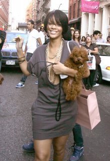 rihannadog6.jpg