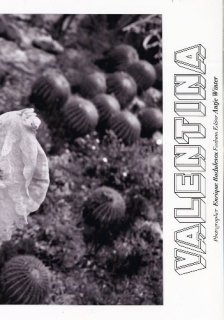 Untitled-10.jpg