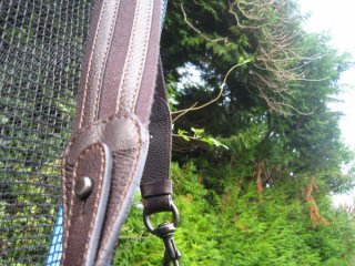 Picture 110.jpg Picture 110.jpg