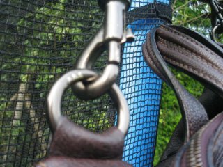 Picture 109.jpg Picture 109.jpg