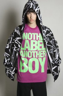 AnotherBoyBrokenGlassHood.jpg