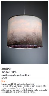 AndreaClaire- Jasper1.jpg