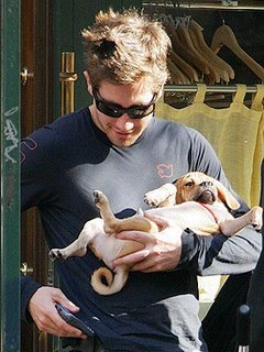 jgyllenhaal6-725779.jpg