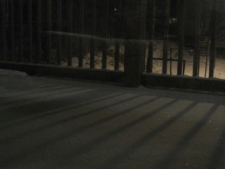 Image117.jpg