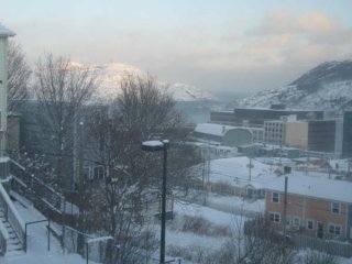 Image131.jpg