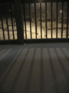 Image125.jpg