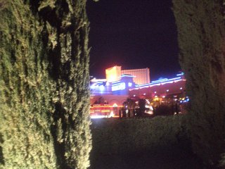 Cimg0293.jpg