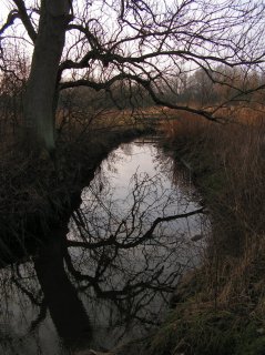 Pict6298a.jpg