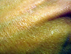 back of hand.jpg