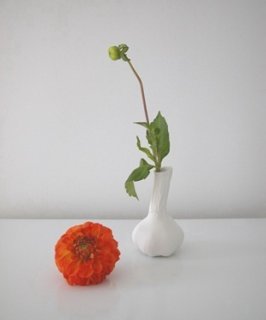 Meesters- alliumsativum.jpg