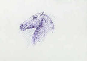 Sdraw01.jpg