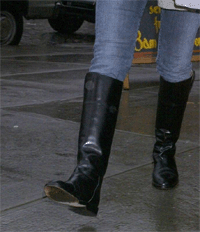 boots1.gif