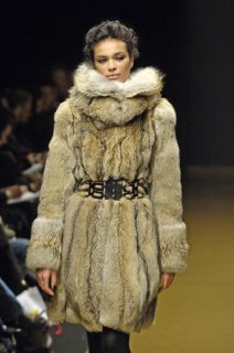 michelkleinfw062yz1.jpg