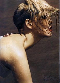img499.jpg