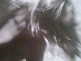 Photo007.jpg
