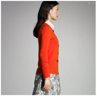 j.crew new 6.JPG