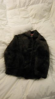 Fur Coat 018 (resized).JPG