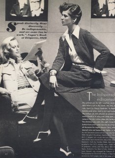 american_vogue_february_15th_1972__newton9.jpg