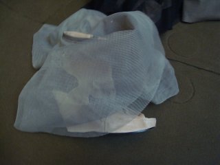 DSC06502.jpg