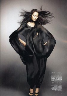 Hye Park - US Harper's Bazaar January 2008 - 1 sml.JPG