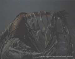 archive007.jpg