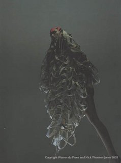 archive013.jpg