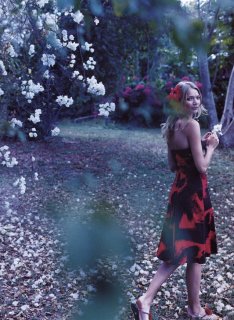 flowertree.jpg