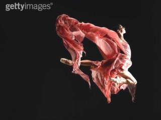 ballet-fly3h.jpg