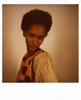 rose_pola_112.jpg