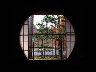 1061.jpg