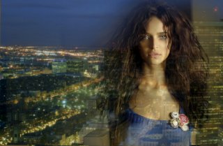 Celia Becker.Avenue Illustrated.pf Fernando Bosh (4).jpg