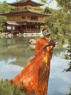 vogue_italia_june_1971__lategan2sm.jpg