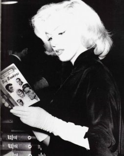 MarilynMonroe000098.preview.jpg