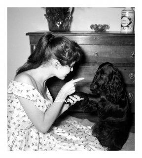 BardotWithDogclassyclassics1.jpg