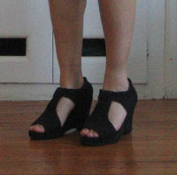 wedges 001.jpg