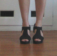 wedges 005.jpg