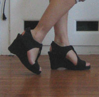 wedges 004.jpg